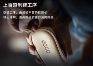Read more about the article 公正评价ECCO